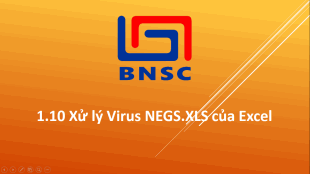 1.10 Xử lý Virus NEGS.XLS của Excel