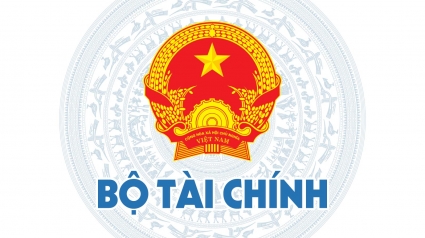 Phí thẩm định dự án đầu tư xây dựng; Thiết kế cơ sở; Thiết kế kỹ thuật; Dự toán xây dựng; Thiết kế PCCC