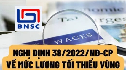Nghị định 38/2022/NĐ-CP về Quy định mức lương tối thiểu đối với người lao động làm việc thep hợp đồng lao động