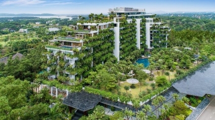 Vĩnh Phúc: Công bố Đơn giá nhân công, giá ca máy năm 2023