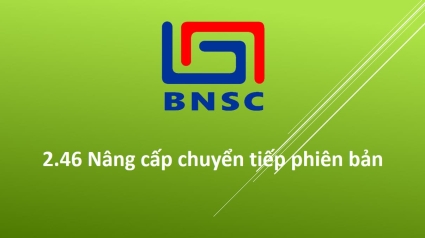 2.46 Nâng cấp chuyển tiếp phiên bản