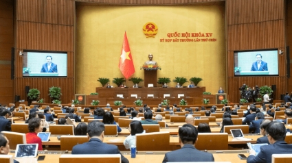 Luật số 90/2025/QH15 Luật sửa đổi, bổ sung Luật đấu thầu, Luật đầu tư ..., Luật thuế GTGT,...