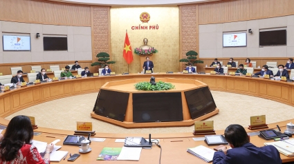 Nghị định 214/2025/NĐ-CP Quy định chi tiết một số điều và biện pháp thi hành Luật Đấu thầu về lựa chọn nhà thầu